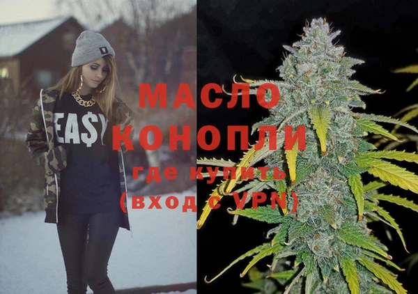 индика Михайлов
