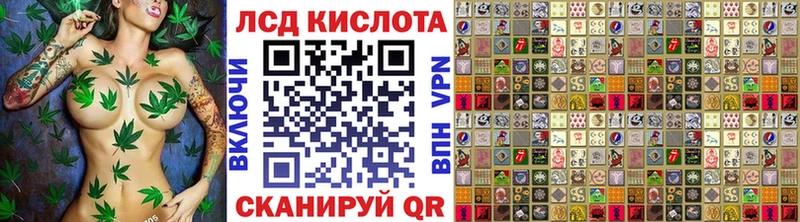 купить наркоту  Шахунья  Марки NBOMe 1,8мг 