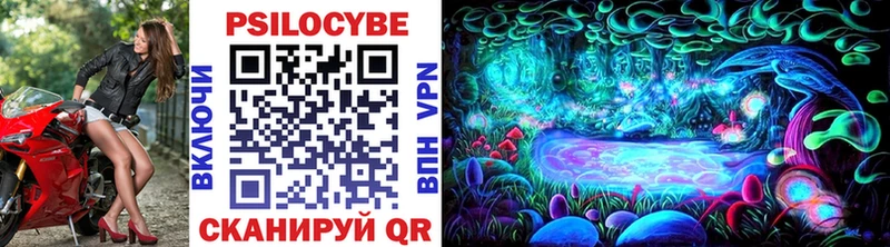 Псилоцибиновые грибы мицелий  цены наркотик  МЕГА   Шахунья 